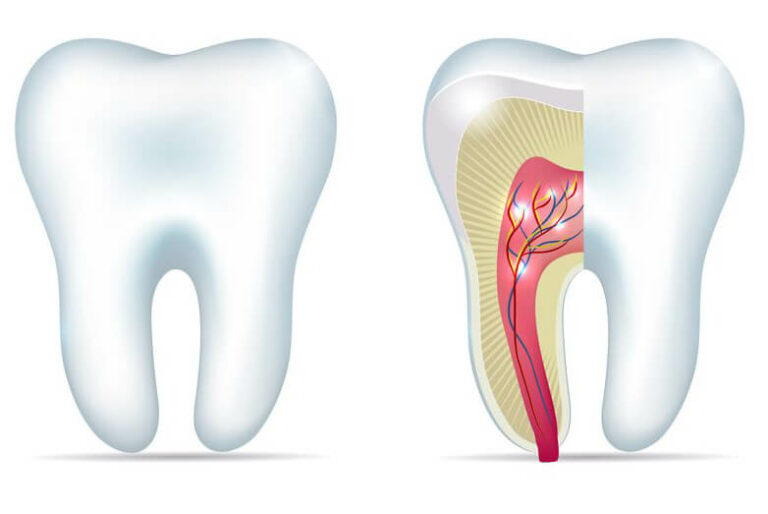 Root Canals DeVries Dental of West Michigan Grand Rapids Family Dentist